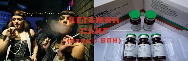 шишки Алексеевка