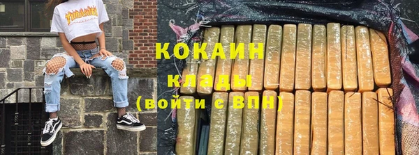 прущие грибы Покров